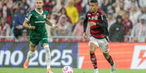 Palmeiras e Flamengo Disputam o Primeiro Tetracampeonato brasileiro na Libertadores