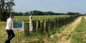 Agrofloresta: Refúgio Climático e Econômico no Pará