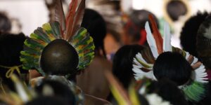 Demarcação de terras indígenas garante proteção ambiental, afirma ministério da justiça